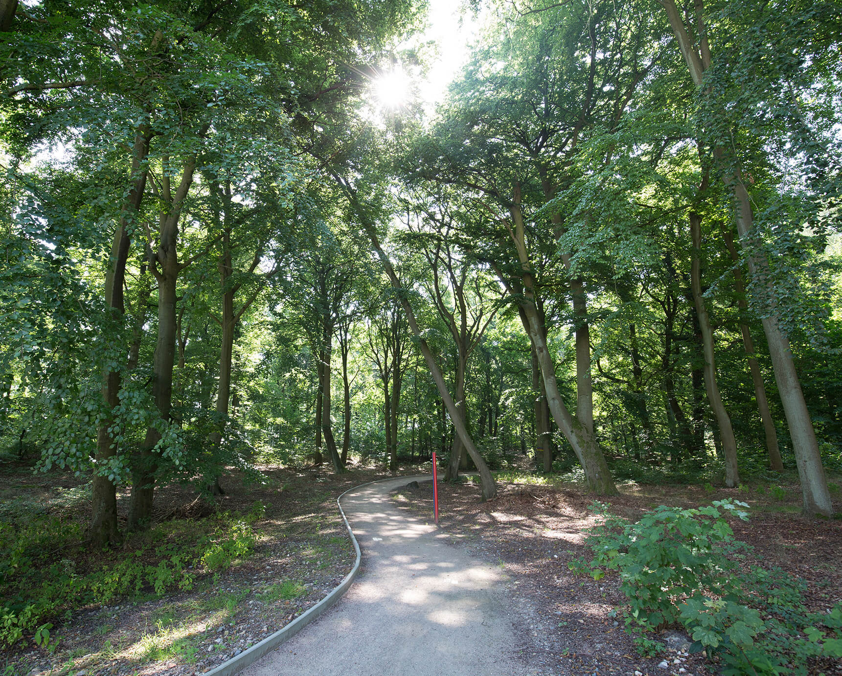 Im Küstenwald unterwegs