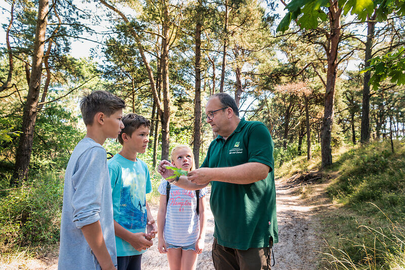 Küstenwälder entdecken