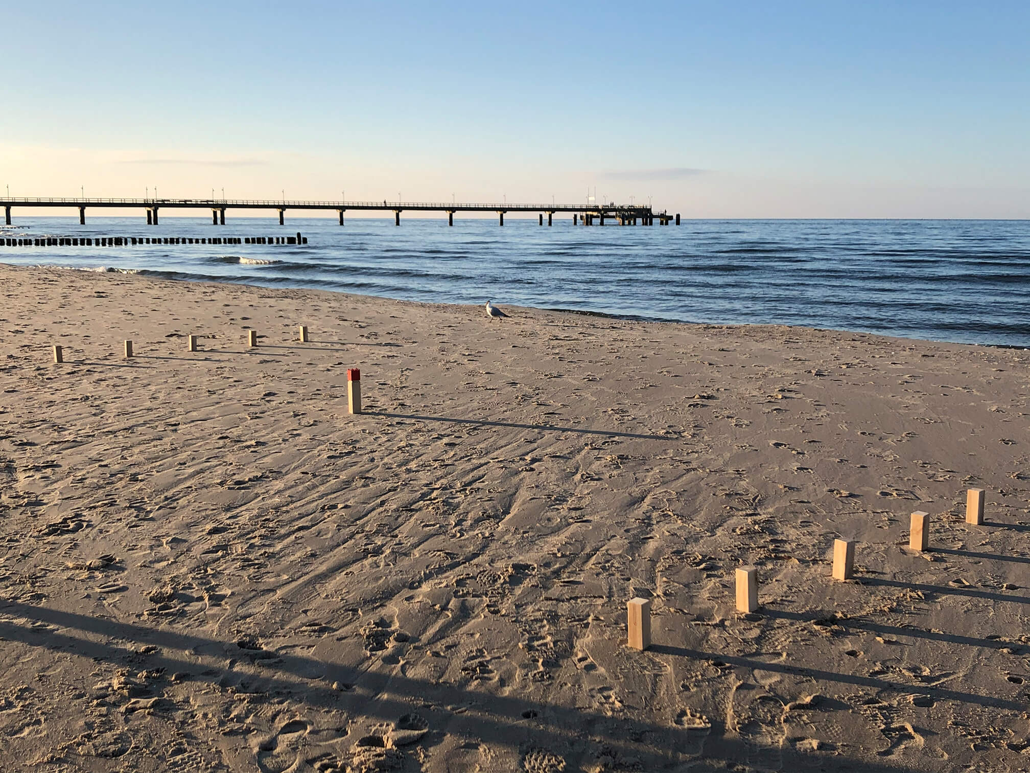 Strandstreicher im Apartment